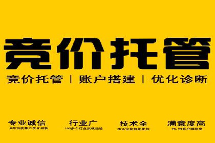 竞价端口开户的五大成功案例揭秘